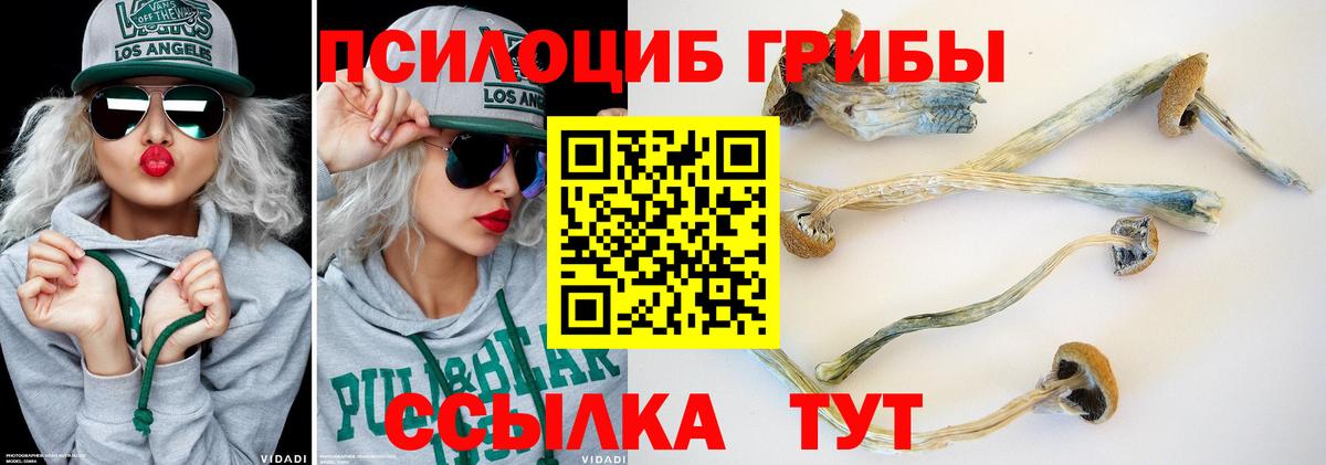 Галлюциногенные грибы Psilocybine cubensis  Вход с VPN  Пушкино  где купить наркоту  Псилоцибиновые грибы Magic Shrooms 